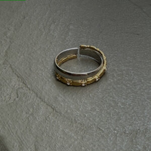 * SHINE * GOLD & SILVER RING